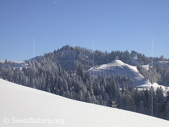 Foto: Winterlandschaft mit tief verschneiten Wäldern. Im Hintergund der Farnlisesel.