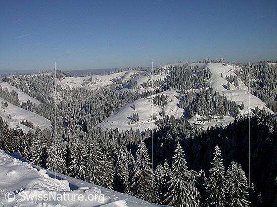 Foto: Winterlandschaft mit Wäldern, Hügel und Kreten im hintersten Teil des Hornbachgraben.
