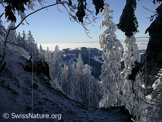 Foto: Urtümliche Winterlandschaft.