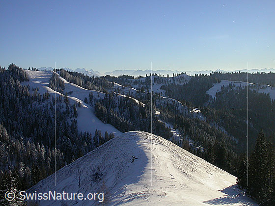 Foto: Winterlandschaft bei Hinterarni im letzten Licht des Tages. Blick über verschneiten Hügel und Kreten Richtung Berner Alpen.