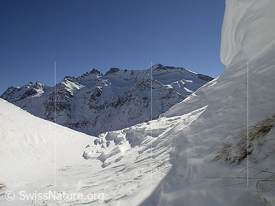 Foto: Schinhorngruppe
