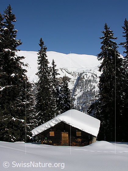 Foto: Mässerchäller