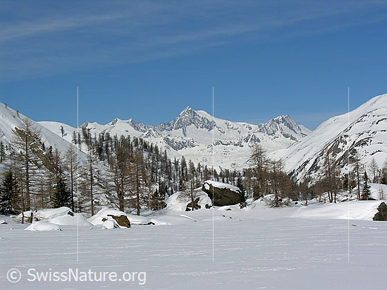 Foto: Winterlandschaft mit Aletschhorn