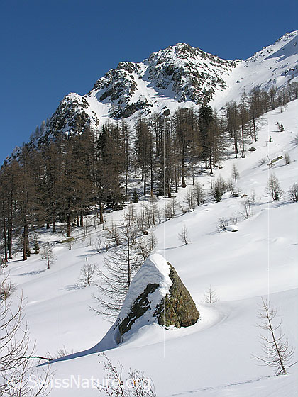 Foto: Felsblock in Winterlandschaft.