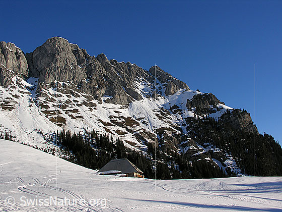 Foto: Im Aufstieg über das Alpetli zum Ankestock. Blick zum Seehore. Skispuren führen zu einer Alphütte.