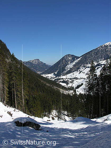 Foto: Im Abstieg vom Ankestock. Blick vom Alpetli über das Diemtigtal. Im Hintergrund sind Abendberg und Homad zu sehen.