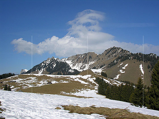 Foto: Blick Richtung Obers Heiti und Heitihubel.
Im Hintergrund: Bremeflue, Lasenberg und Nüschleten.