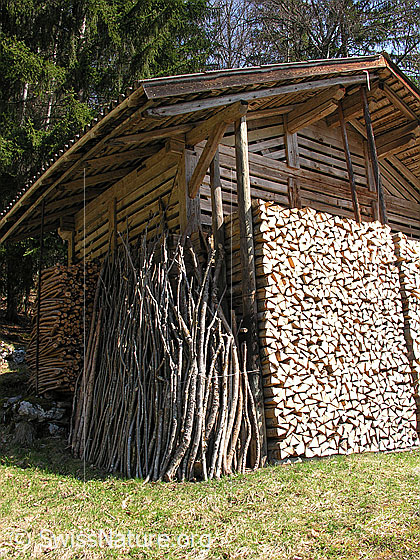 Foto: Gespaltenes Holz und Äste. Alles sauber aufgeschichtet um Gebäude.