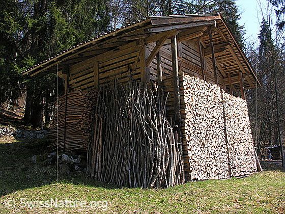 Foto: Gespaltenes Holz und Äste. Alles sauber aufgeschichtet um Gebäude.