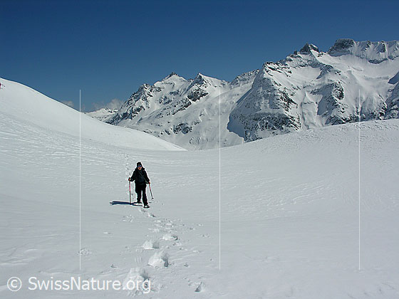 Foto: Schneeschuläuferin unterwegs am Gandhorn. Albrunhorn, Bochtehorn, Seewischhorn, Kleines Schinhorn und Grosses Schinhorn.