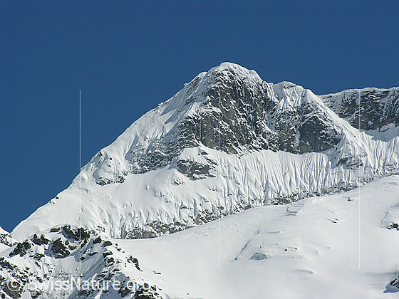 Foto: Gipfel des Untere Schinhorn, frisch verschneit.