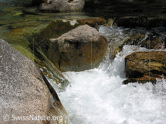 Foto: Klares, sprudelndes Wasser in Bergbach (Binna). Felsblöcke.