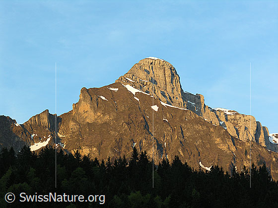 Foto: Furggengütsch (Höchster Gipfel des Hohgantmassivs) im Morgenlicht. Ansicht von NE.