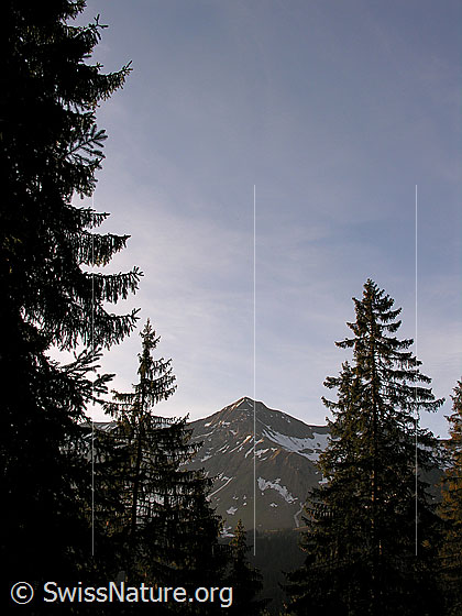 Foto: Tannhorn