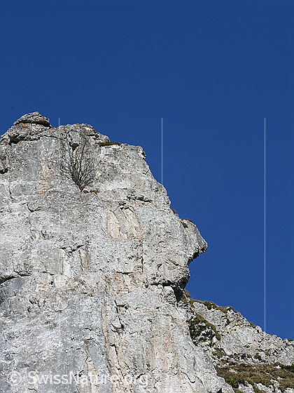 Foto: Im Aufstieg zum Hohgant: swe Felsturm Brünnnligrind, Detail