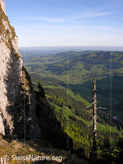Foto: Im Aufstieg zum Hohgant: Blick vom Fuss des Brünnnligrind ins Schangnau, Emmental.