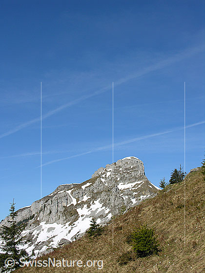 Foto: Im Aufstieg zum Hohgant: Erster Blick zum Gipfel des Furggengütsch.