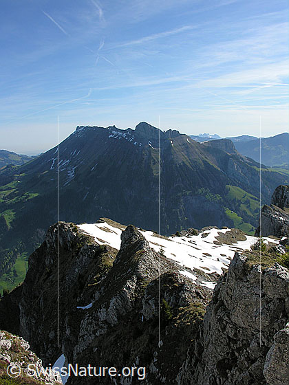 Foto: Im Aufstieg zum Hohgant: Blick zur Schrattenfluh.