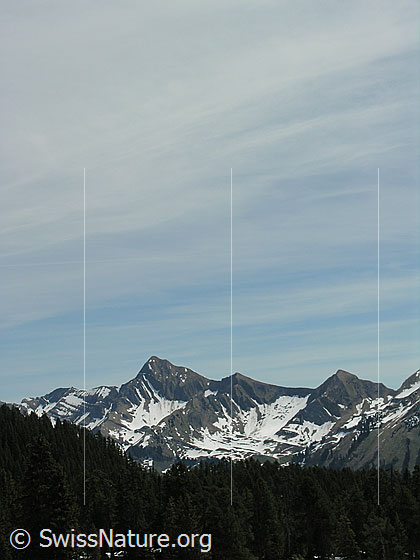 Foto: Tannhorn