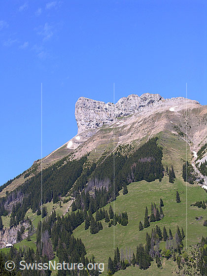 Foto: Blick von Hübeli zum Schibengütsch.