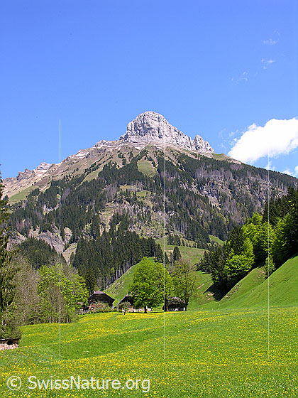 Foto: Blick von Kemmeriboden zum Schibengütsch