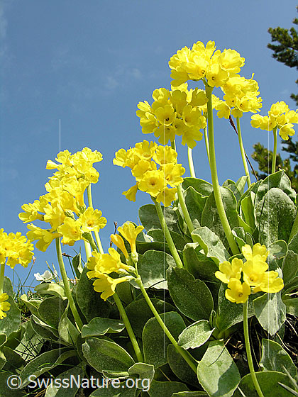 Photo: 