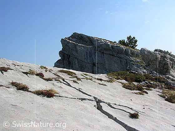 Foto: Karstlandschaft mit Felskopf an den Sieben Hengsten.