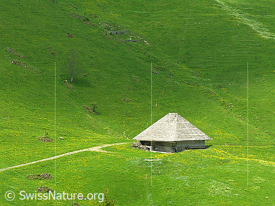 Foto: Alphütte bei Fall.