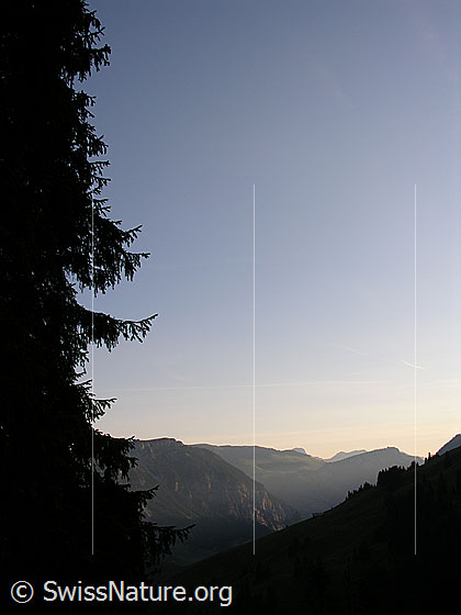 Foto: Im Auffstieg zmu Rauflihorn: Morgenstimmung über dem Diemtigtal