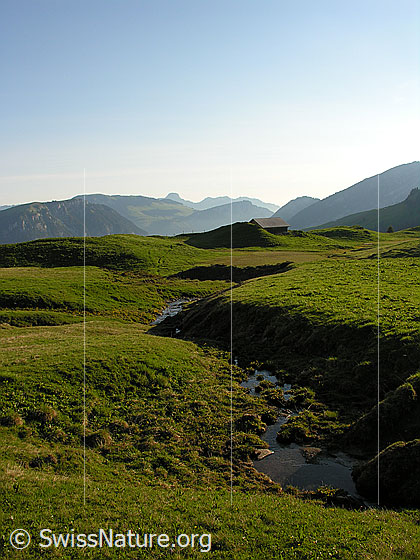 Foto: Landschaft auf Alp Grimmi, Blick Richtung NE über das Diemtigtal. Im Hintergrund ist u.a. das Stockhorn zu sehen.