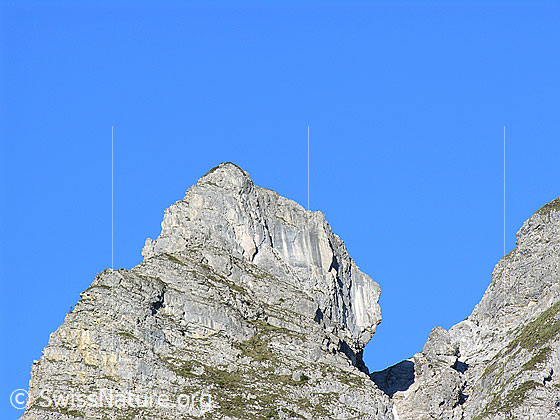 Foto: Im Aufstieg zum Rauflihorn: Felskopf (Hundskopf ?) im E-Grat des Rothorns.