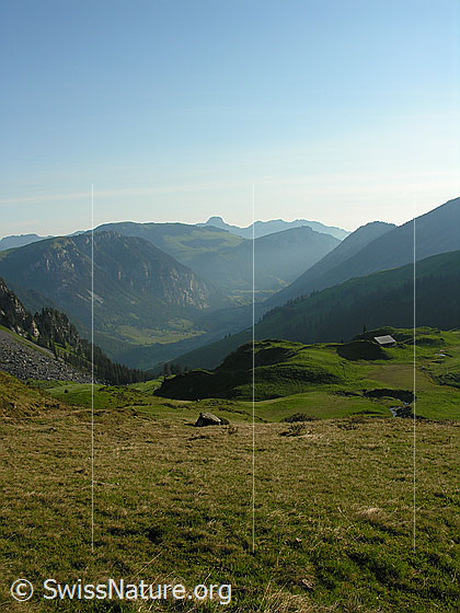 Foto: Im Aufstieg zum Rauflihorn, in der Nähe von Grimmi Furggi: Blick über die Alp Grimmi und das Diemtigtal. Im Hintergrund ist u.a. das Stockhorn zu sehen.