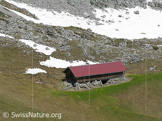 Foto: Unterhalb Grimmi Furggi: Alphütte in wilder Umgebung.