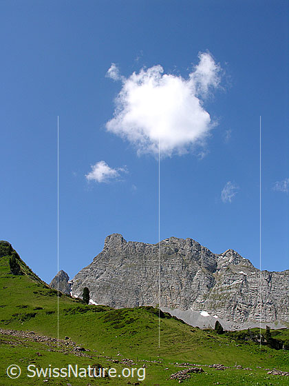 Foto: Blick vom Grimmisee zum Rothorn.