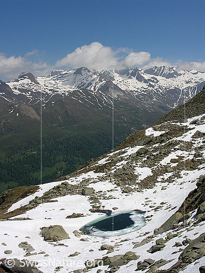Foto: Blick über den Bergsee Richtung in den hinteren Teil des Binntals.