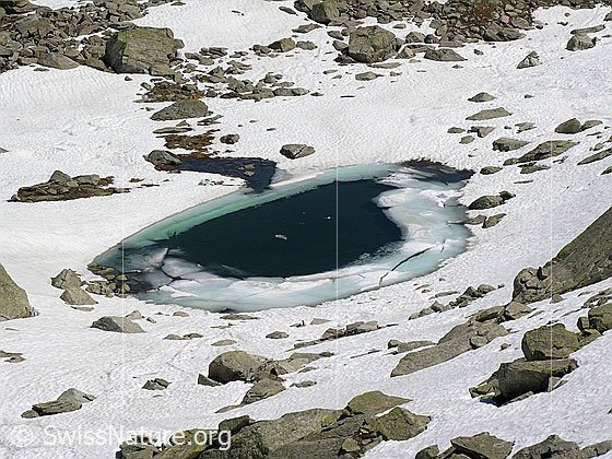 Foto: Bergsee, welcher zum Teil noch mit Eis/Schnee bedeckt ist.
