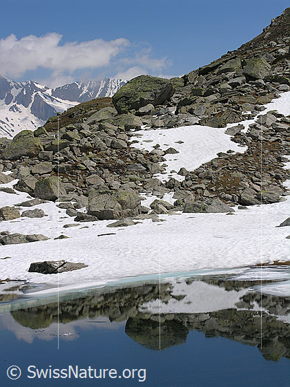 Foto: Spiegelung mit Felsblock.