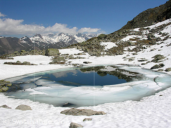 Foto: Eis in Bergsee in schneebedeckter Umgebung. Bergsee mit Spiegelung. Im Hintergrund der hintere Teil des Binntals.