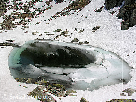 Foto: Blick auf Bergsee. Der Bergsee ist z.T mit Eis bedeckt.
