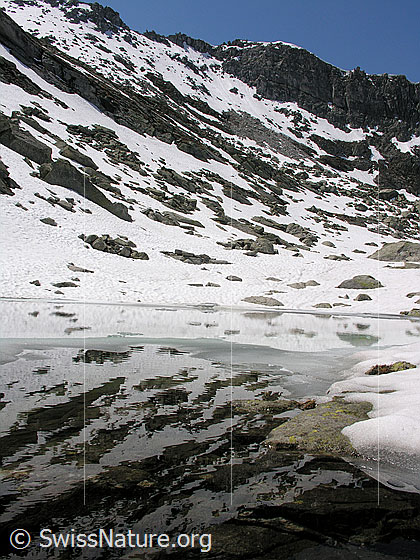 Foto: Blick über Bergsee zum Grat zwischen Hirli und Stockhorn. Der Bergsee ist z.T mit Eis bedeckt. Mit Spiegelung.