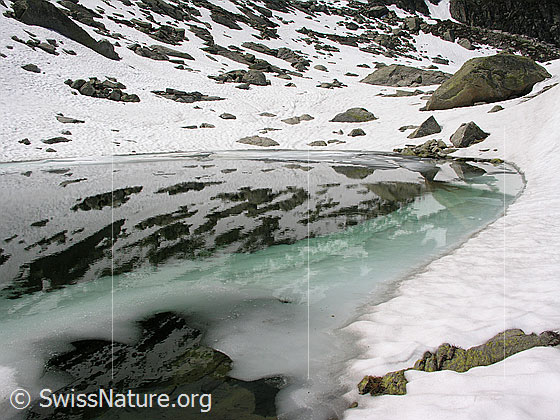 Foto: Blick über Bergsee. Der Bergsee ist z.T mit Eis bedeckt. Mit Spiegelung. Schöne Färnung des Wassers beim Übergang vom Wasser zum Eis.