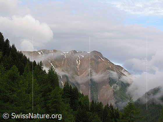 Foto: Stimmungsvolle Wolken und Nebelschwaden umgeben das zerfurchte Breithorn. Der Wald im Vordergrund präsentiert sich in sattem Grün.