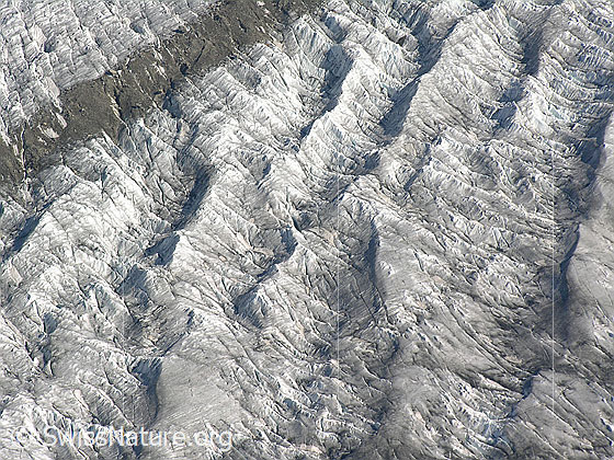 Foto: Aletschgletscher mit Mittelmoräne (Ausschnitt).