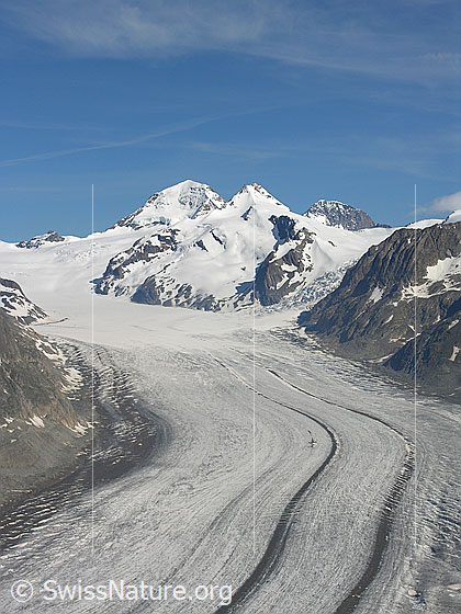 Foto: Blick vom Eggishorn über den Aletschgletscher und Konkordiaplatz zu Jungfraujoch, Mönch, Trugberg und Eiger.