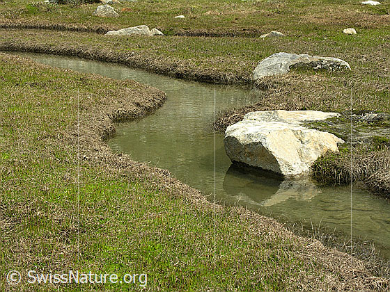 Foto: Wasserlauf beim Märjelesee mit Felsblöcken und Gras am Ufer.