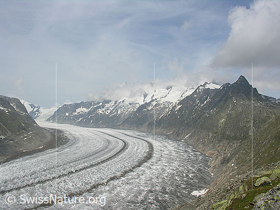 Foto: Blick über den Aletschgletscher mit zwei markanten Mittelmoränen. Rechts ist das Strahlhorn zu sehen. Der Himmel ist leicht bewölkt.

