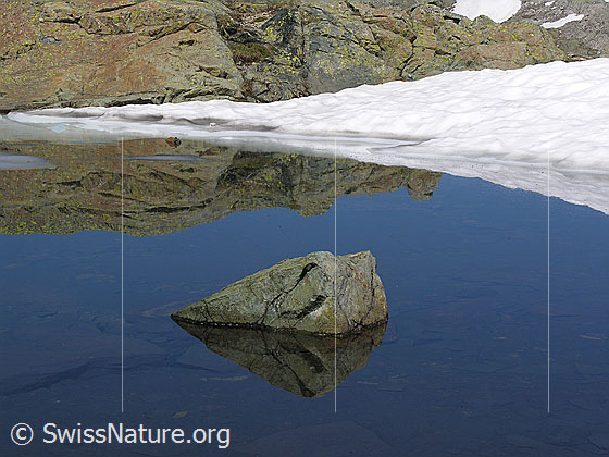 Foto: Spiegelung eines Felsblocks im Grampielsee. Felsen und ein Schneefeld bilden das Ufer.