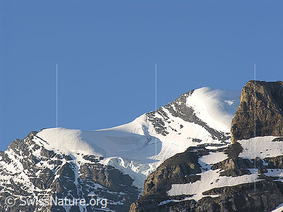 Foto: Morgenhorn (Gipfel und Ostgrat) im Morgenlicht.