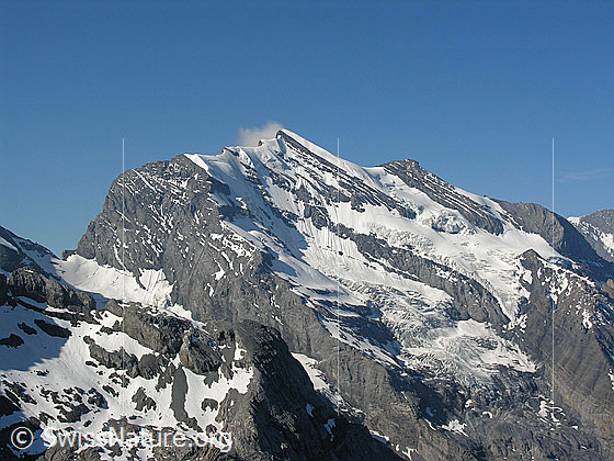 Foto: Doldenhorn und Kleindoldenhorn. Gut zu sehen sind: Fründenjoch, Ostgrat, Galletgrat und der obere Teil der Nordwand und der Verlauf der Normalroute.
Davor der Doldenhorngletscher.