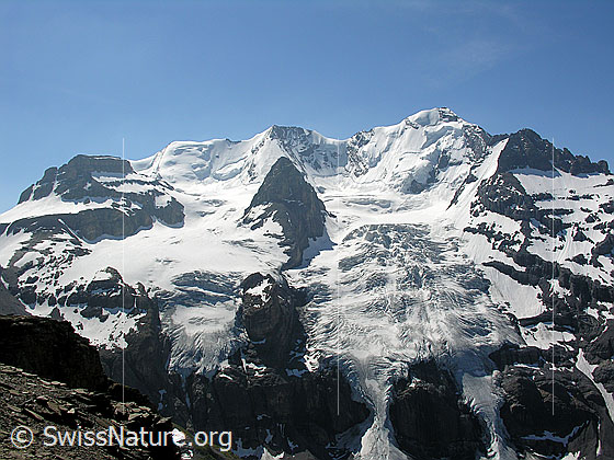 Foto: Wildi Frau - Morgenhorn -  Wyssi Frau - Ufem Stock - Blüemlisalphorn - Blüemlisalp-Rothorn. Blüemlisalphorngletscher.
